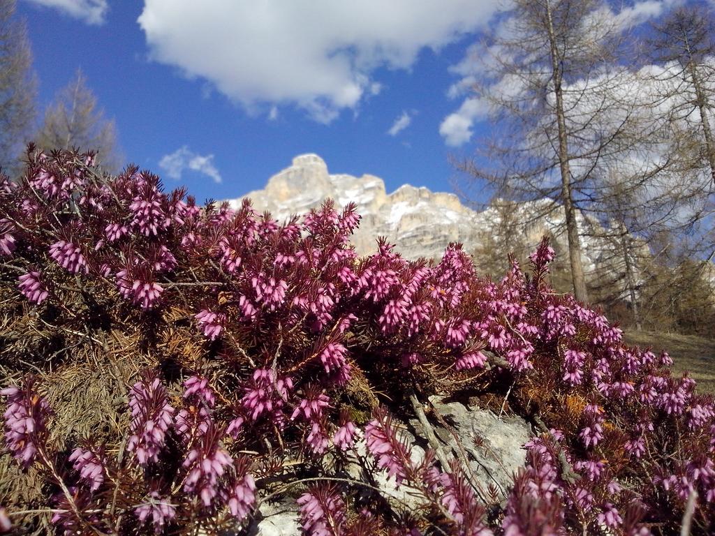Villa Hilde San Cassiano  Εξωτερικό φωτογραφία